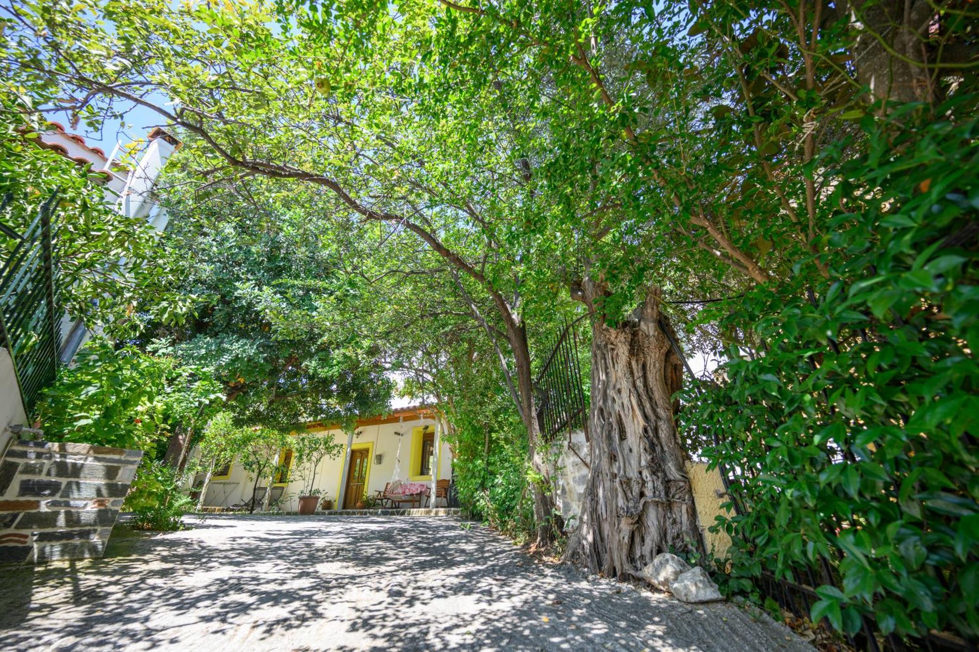 Small Villa Gerani Agios Vlasios  Екстер'єр фото